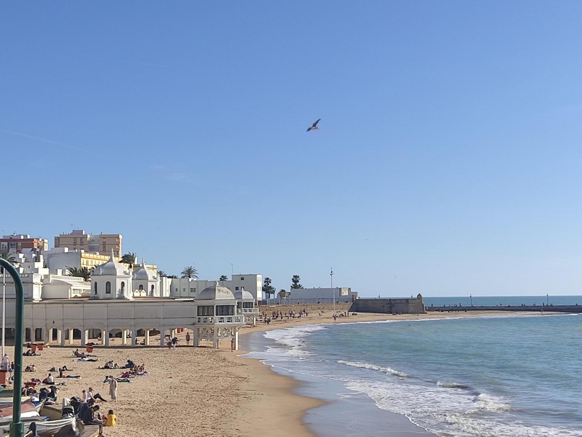 شقة Estreno Centro Y Playa كاديز المظهر الخارجي الصورة